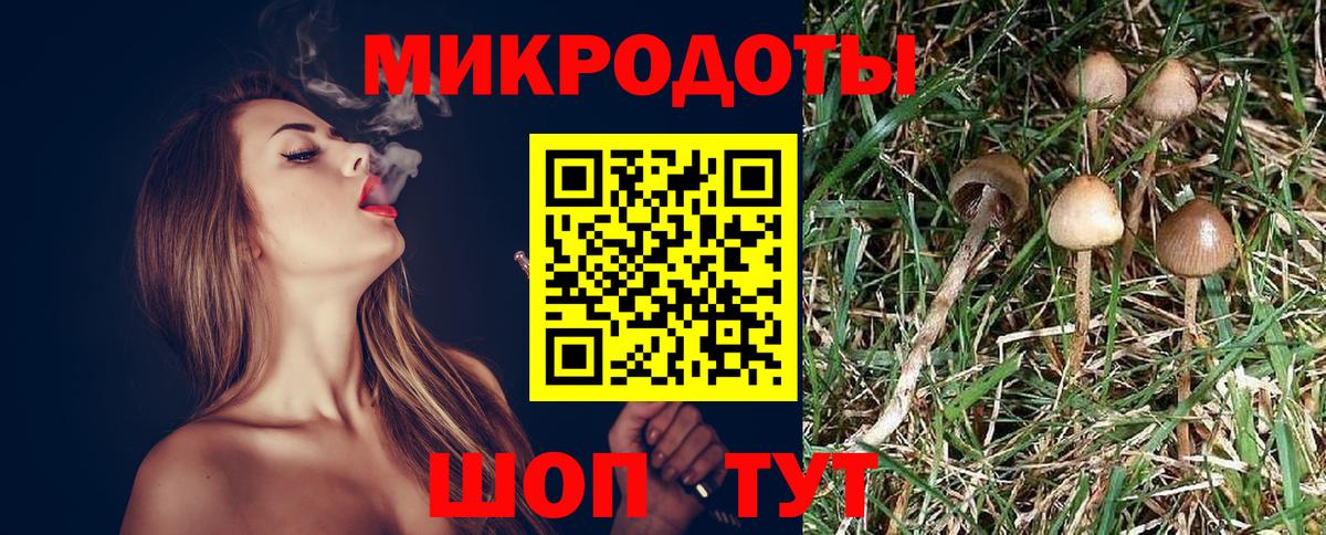 Псилоцибиновые грибы Magic Shrooms  где купить наркотик  Мурманск  Вход с VPN 