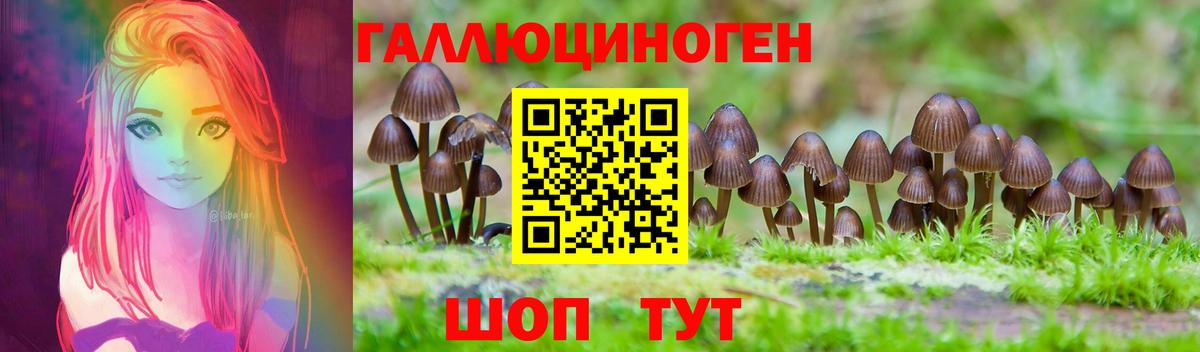 Галлюциногенные грибы мицелий Мурманск